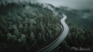incrediblesgaming_serpentine_road_with_an_S_curve_in_the_forest_e0b1ed56-2747-43a7-b2e8-e0eb62470a7d